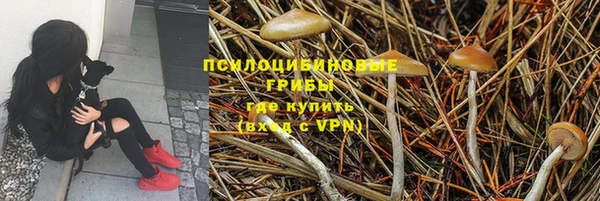 Альфа ПВП Пролетарск