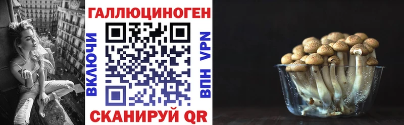 нарко площадка телеграм  Солигалич  Галлюциногенные грибы Cubensis 